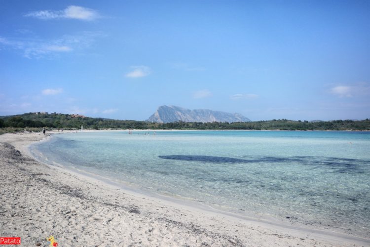 5 Bellissime Spiagge Della Sardegna Del Nord Patatofriendly