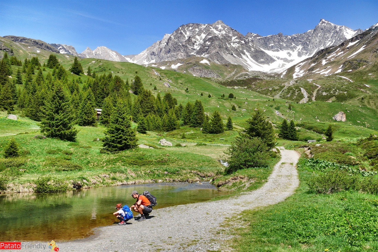 maglia termica verde decathlon